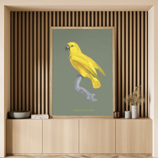 GALERIE DES OISEAUX