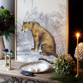 ANIMAUX SAUVAGES