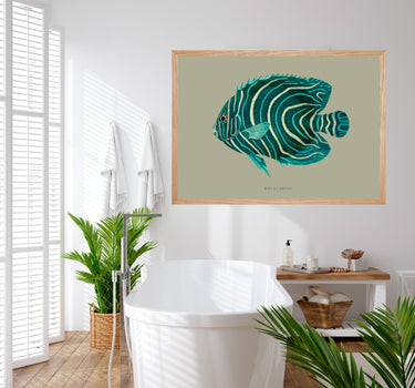 Angelfish
