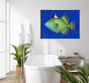 Emerald triggerfish