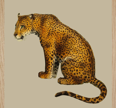 LEOPARD
