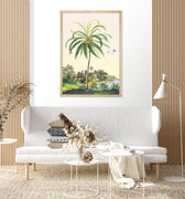 Coconut tree