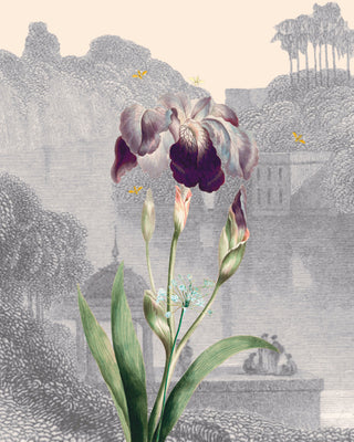 ILLUSTRATIONS