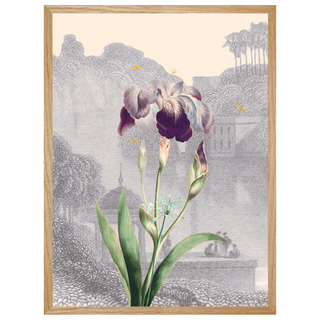BOTANIQUE