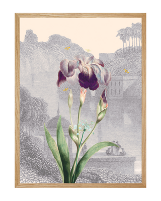 BOTANIQUE
