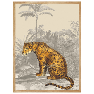 ANIMAUX SAUVAGES