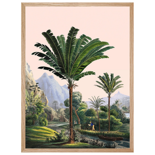 JUNGLES ET PAYSAGES