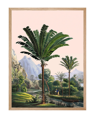 JUNGLES ET PAYSAGES