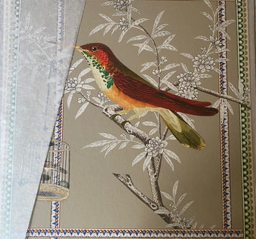 Flybird of clemency