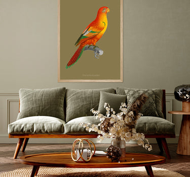Scarlet parakeet