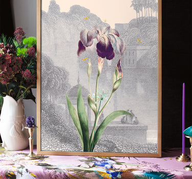 Iris