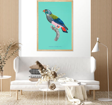 Blue-Hooked Parrot