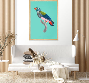 Blue-Hooked Parrot