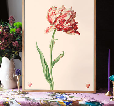 Tulipe 4 de coeur