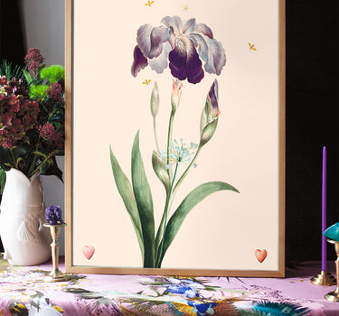 Iris 4  de coeur