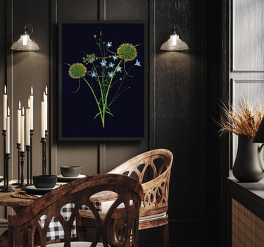 Fleurs des champs