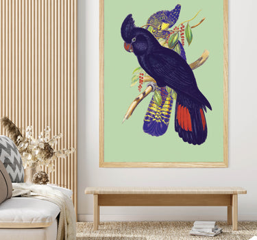 Birds of Australia 