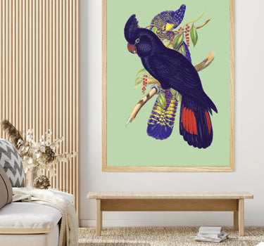 Birds of Australia