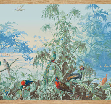 Panoramique le bal des oiseaux