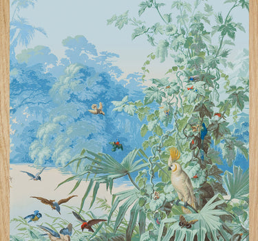 Le Brésil : La galerie des oiseaux