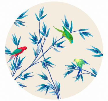 Manicaria tray