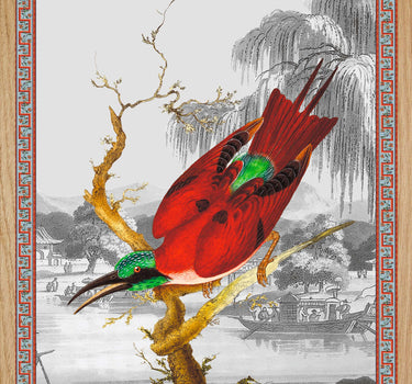 Cardinal