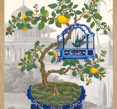 Royal parrot