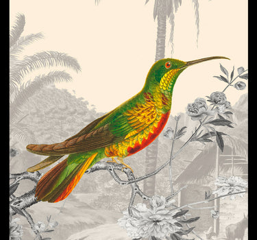 Topaz Hummingbird