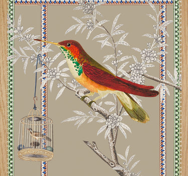 Flybird of clemency
