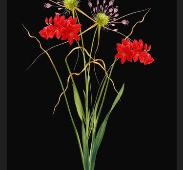 Fleurs d'Été