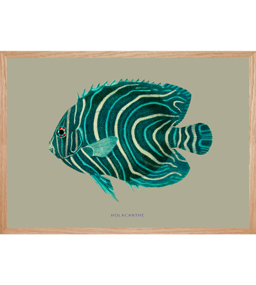 Poisson-ange