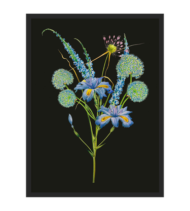 Bouquet d'Iris
