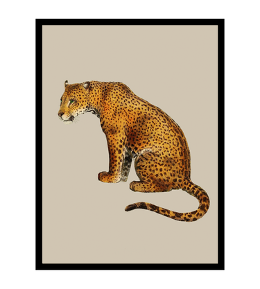 LEOPARD