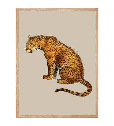 LEOPARD