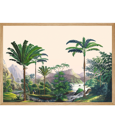 Panoramic Manicaria