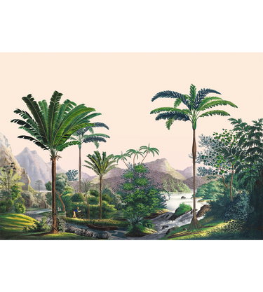 Panoramic Manicaria