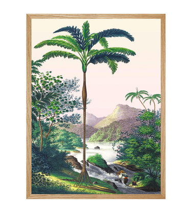 On the banks of Japura