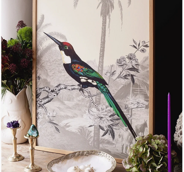 Jacamar Emerald