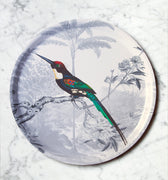 "Plateau rond Jacamar émeraude paysage jungle oiseau exotique plumes longues"
