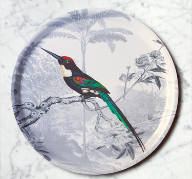 "Plateau rond Jacamar émeraude paysage jungle oiseau exotique plumes longues"