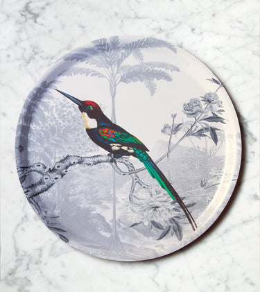 "Plateau rond Jacamar émeraude paysage jungle oiseau exotique plumes longues"
