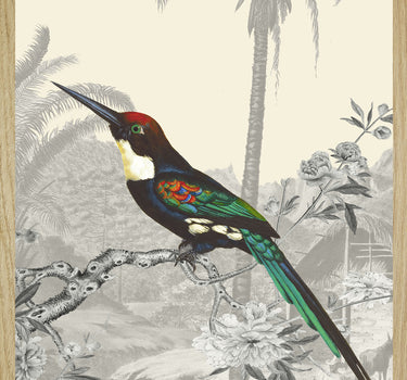 Jacamar Emerald 