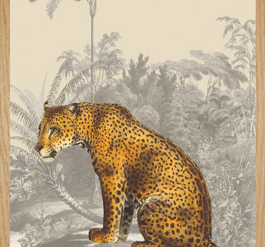 Léopard