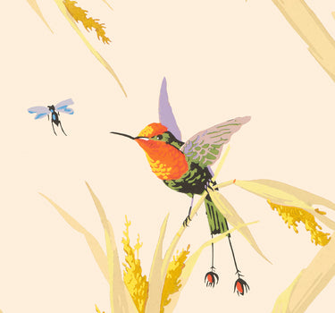 Échantillon colibris fond crème