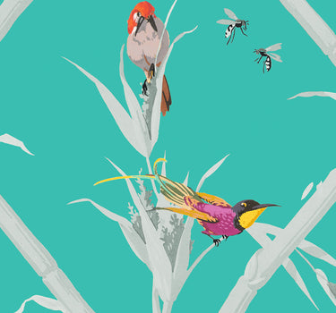 Échantillon colibris fond turquoise