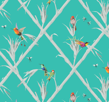 Wallpaper Hummingbirds turquoise background