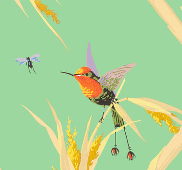Papier peint Colibris fond vert amande