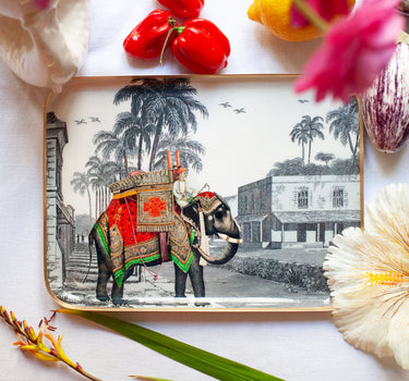 "Plateau émaillé Maharadja - Vide poche décoratif 20x27 cm en émail premium"