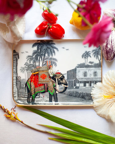 "Plateau émaillé Maharadja - Vide poche décoratif 20x27 cm en émail premium"