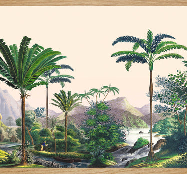 Panoramic Manicaria